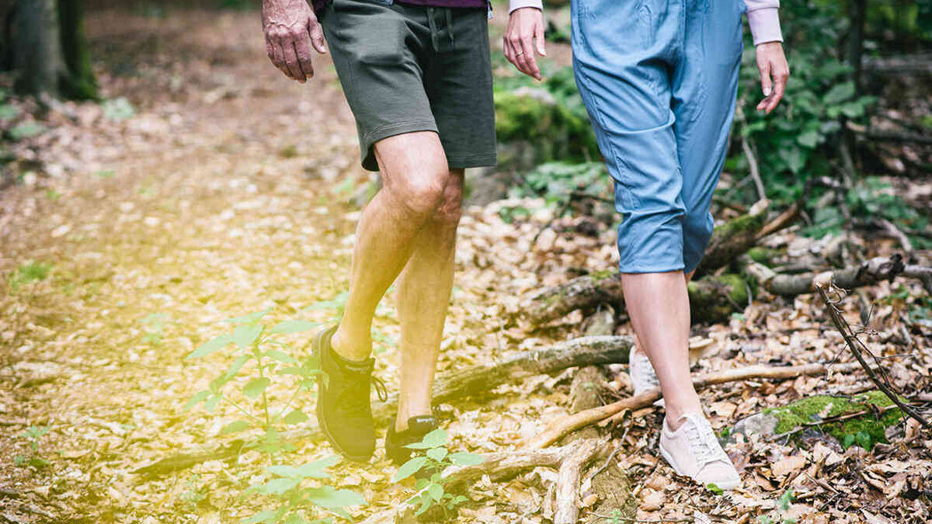Bild von zwei personen unterk&ouml;rper, die im wald spazieren